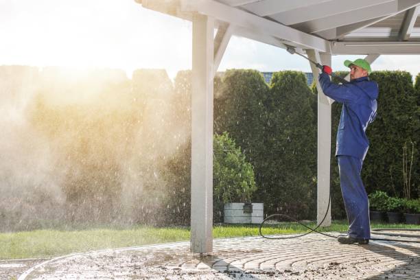 Trusted Williamstown, KY Pressure Washing Services Experts